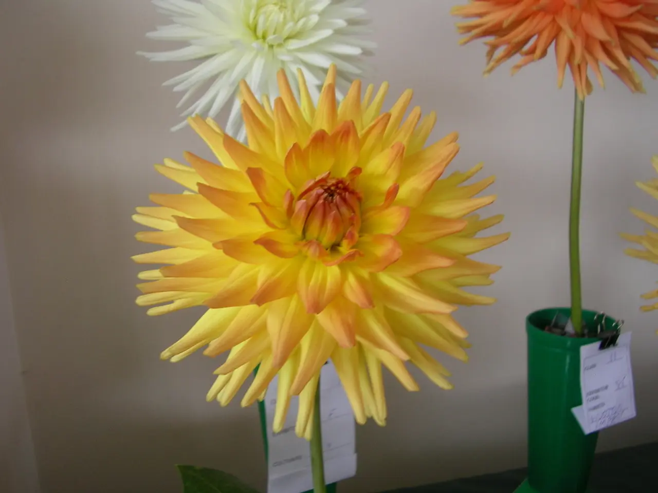 Strategies for Blending Decorative and Eatable Plants