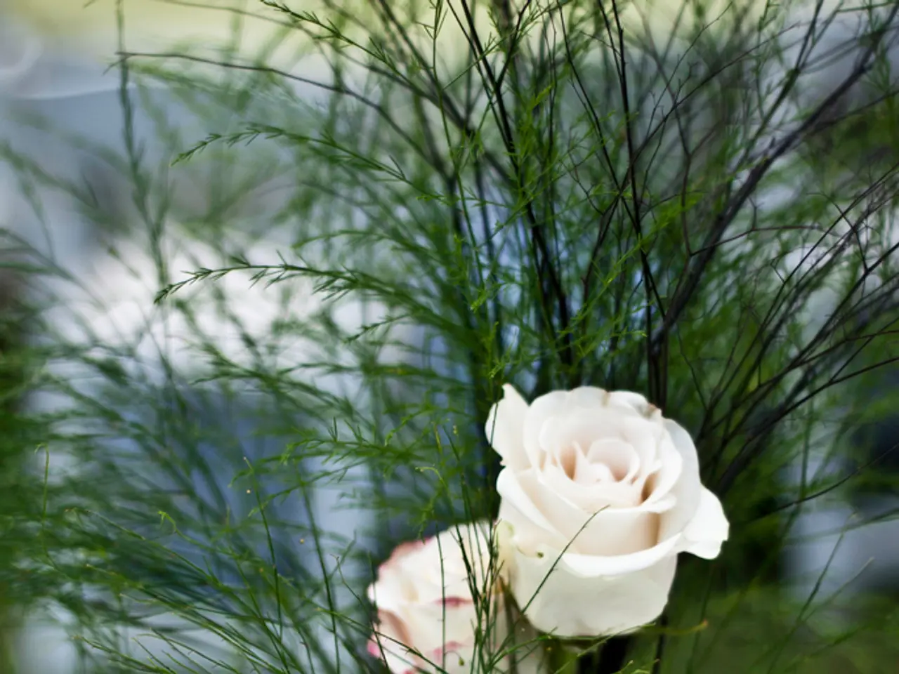 Top 10 Flowers Ideal for a DIY Cutting Garden