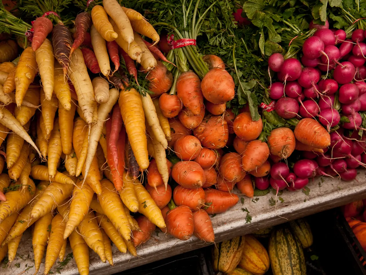 Initiating a Home Vegetable Garden Project