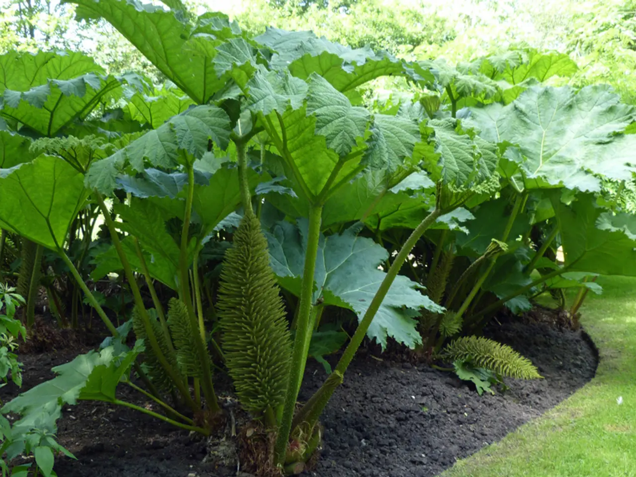 Selecting the Ideal Soil for Your Outdoor Plants: A Guide to Optimal Cultivation