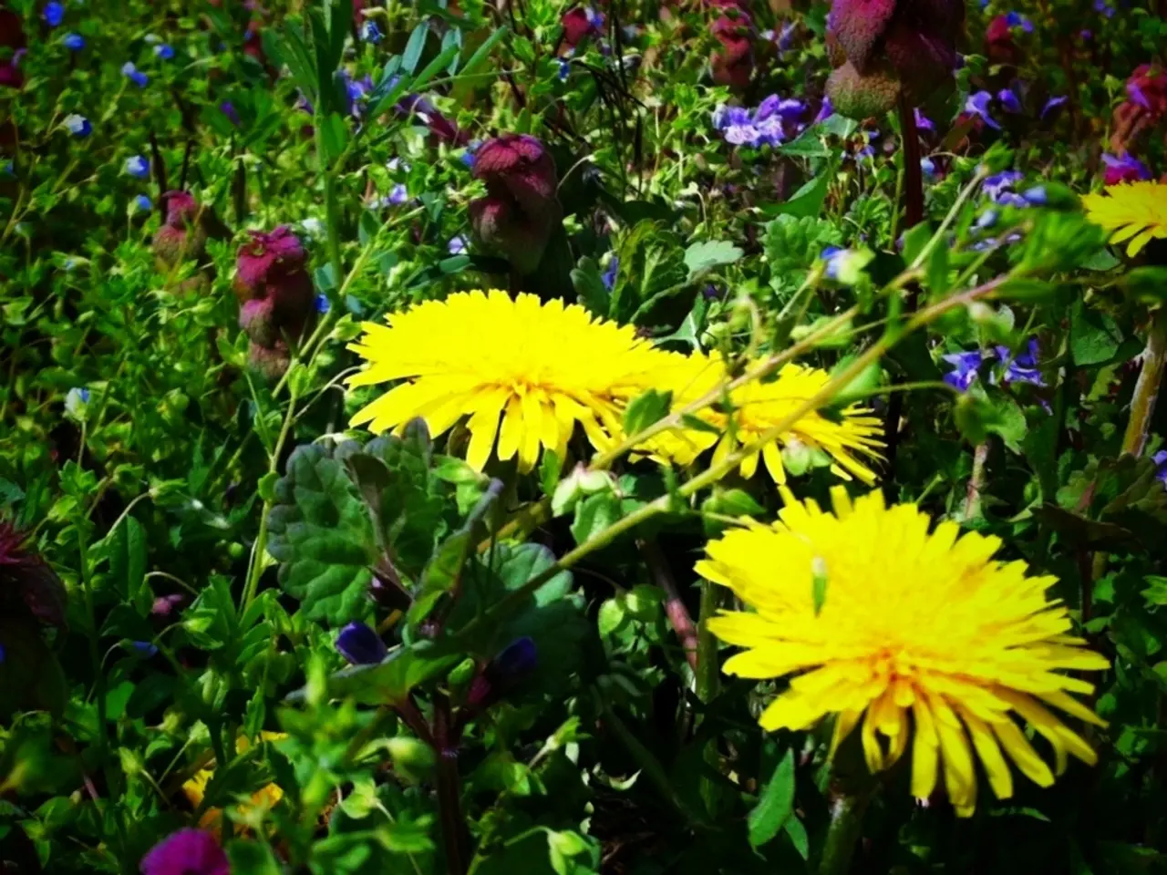 Despite my enthusiasm for spring, the transition from one season to another can occasionally evoke...