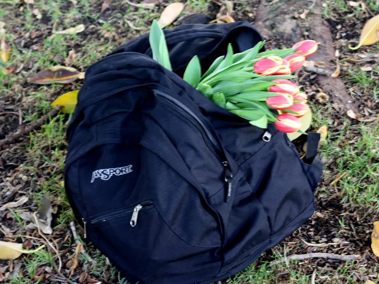 Discovering Optimal Grow Bags for Your Vegetation