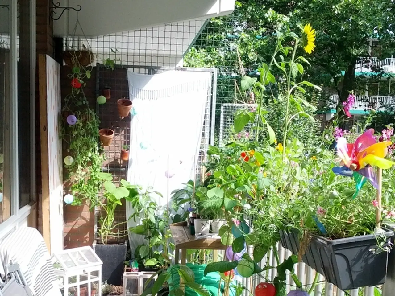 Magnolia's Autumn Collection 2025, spearheaded by Joanna Gaines, is unveiled, featuring a blend of...