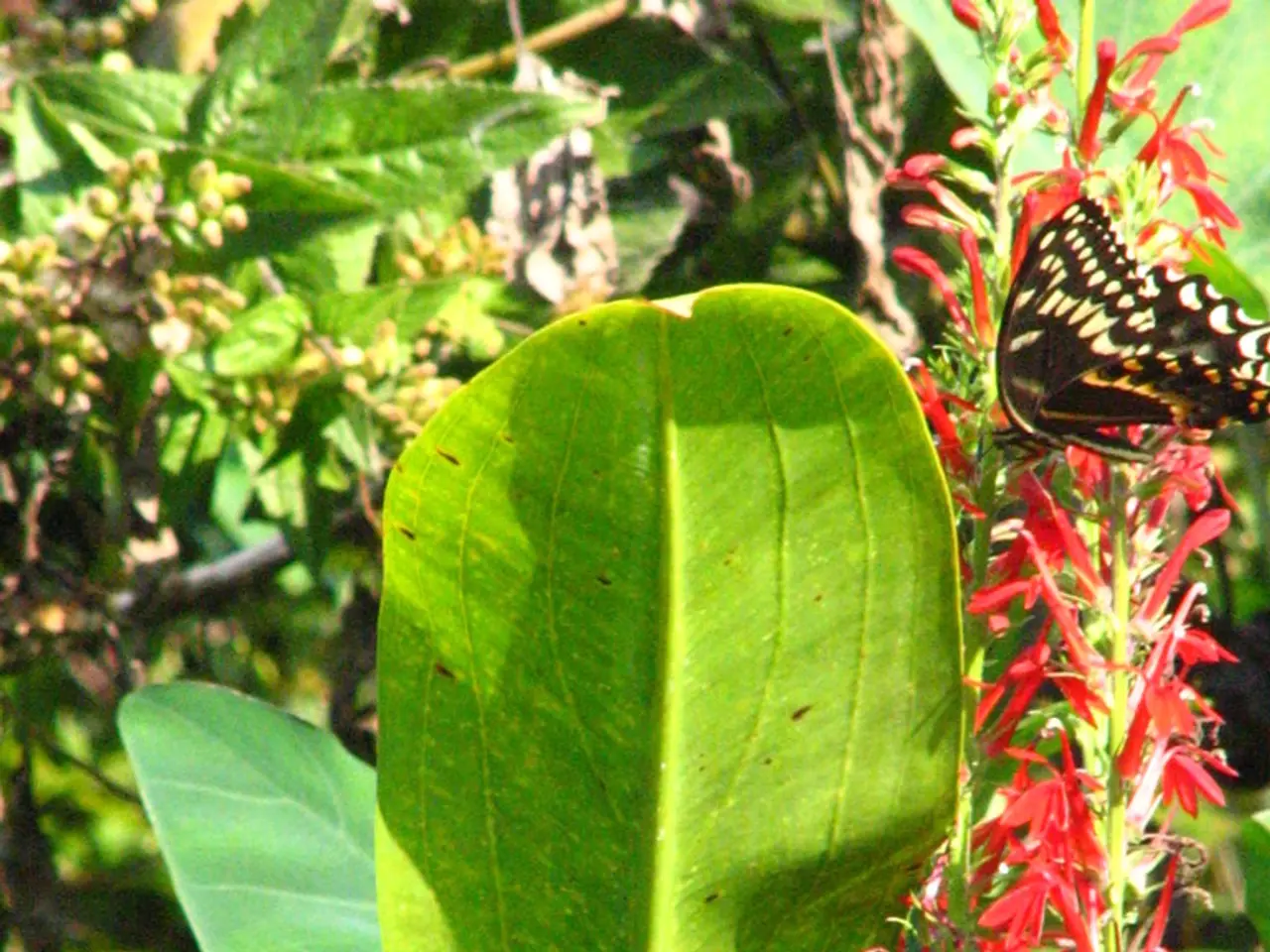 Indoor Orchids Providing Vibrant, Prolonged Blossoms: Tips and Tricks to Nurture and Revive Them
