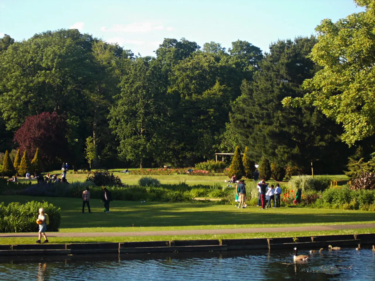 Reason Behind the Absence of Household Rabbits