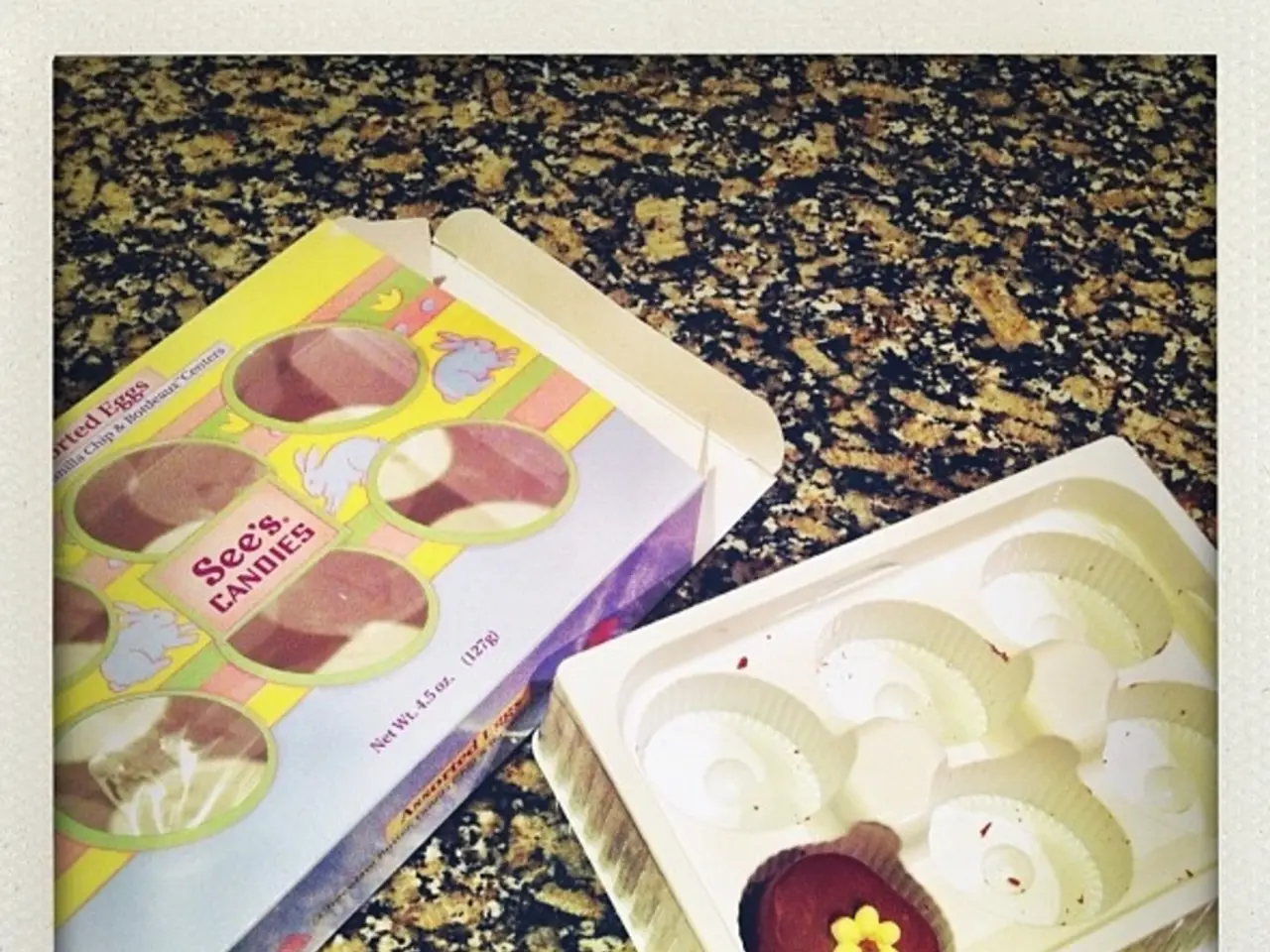 Domestic Animal Feeding Ground Animal Park Hamm, Denmark