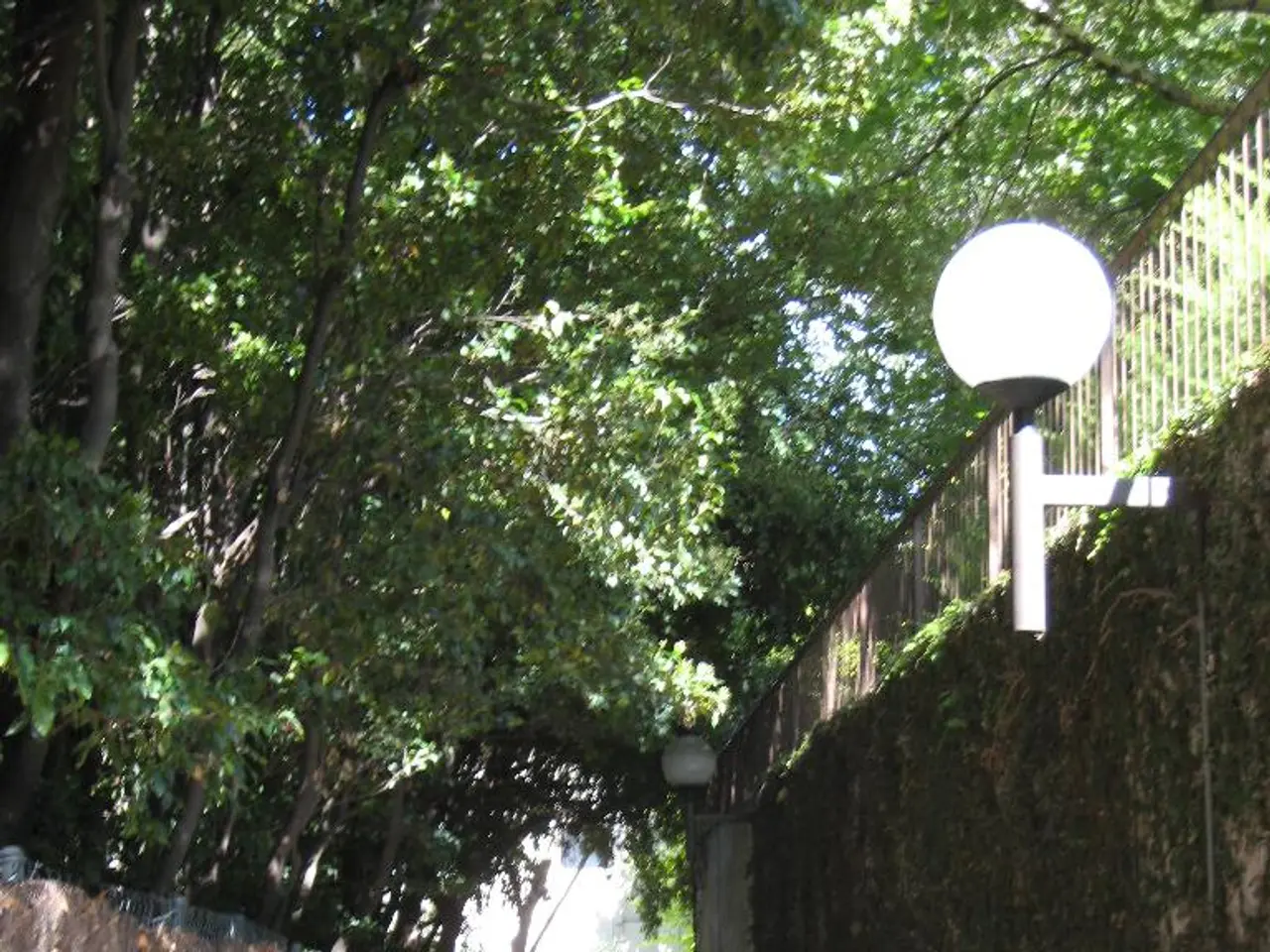 Decorating garden fences with fairy lights may result in disputes with nearby residents, cautioned...
