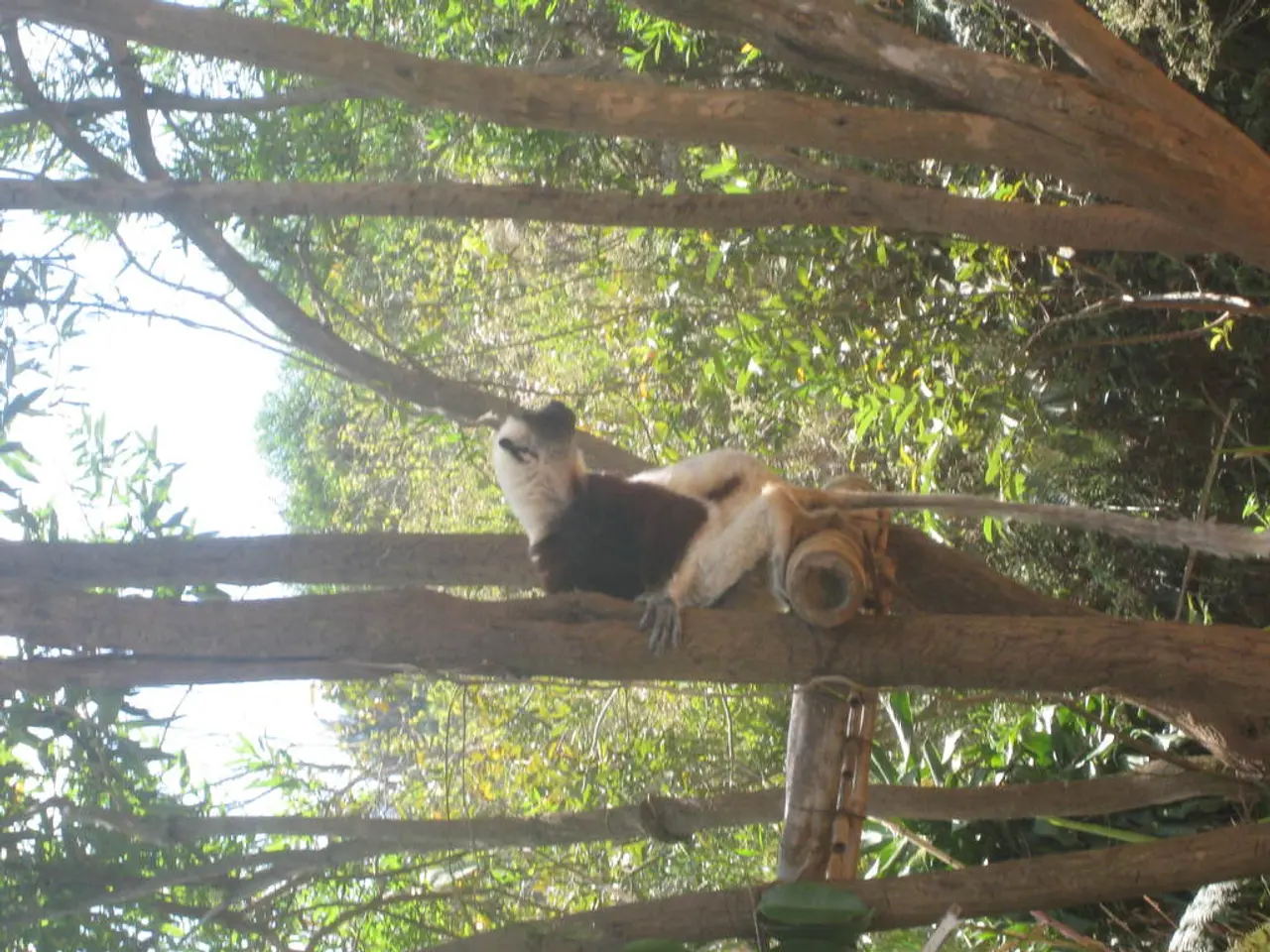 Expanding favorite attraction: Unique growth at Karlsruhe Zoo