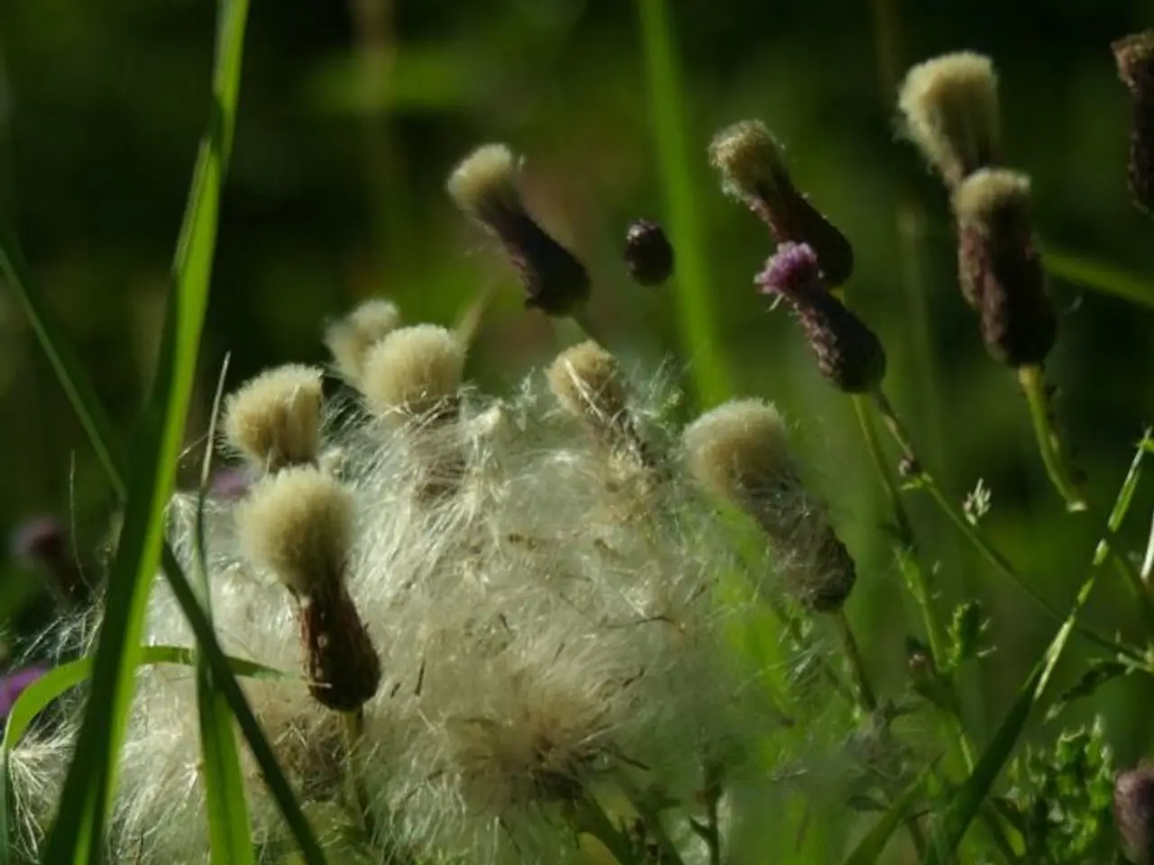 Exploring the Pros and Cons of Natural Cultivation in Gardening