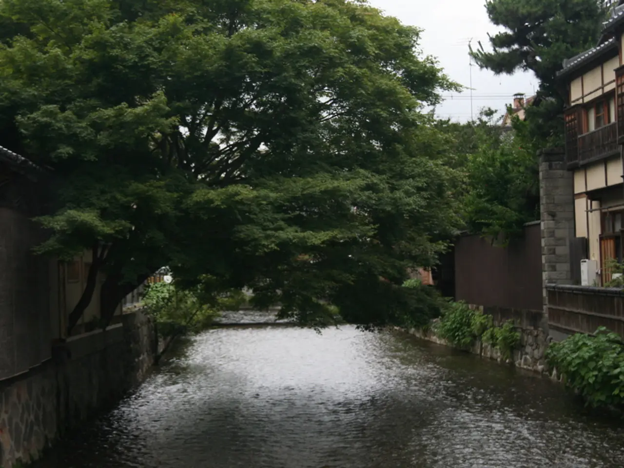 California's West Coast style living transplanted to a Minnesota lake home by the family.