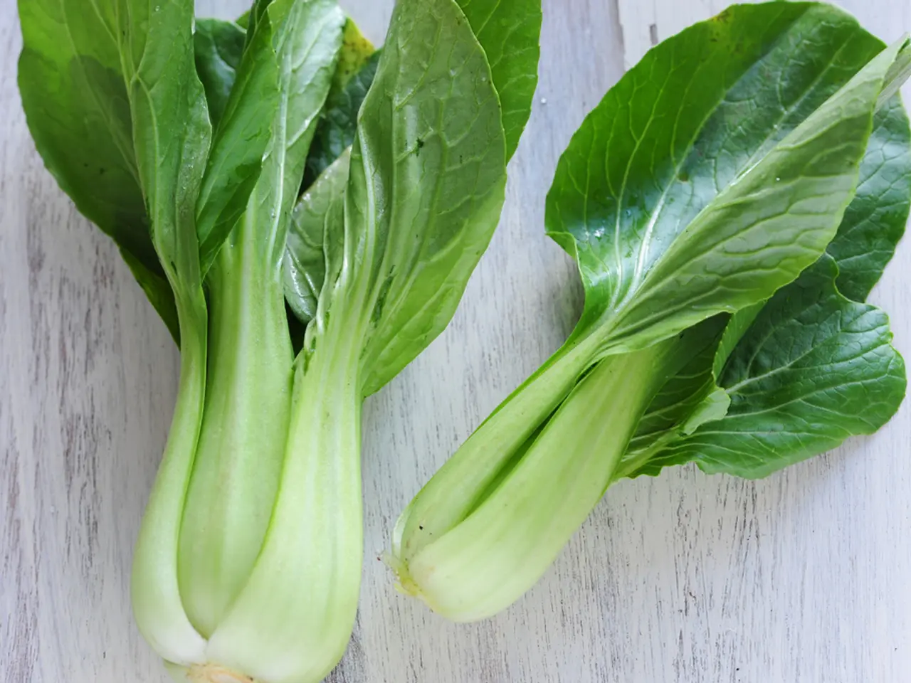 Explore Homegrown Harvest: Easy-to-Grow Food Plants for Novice Gardeners