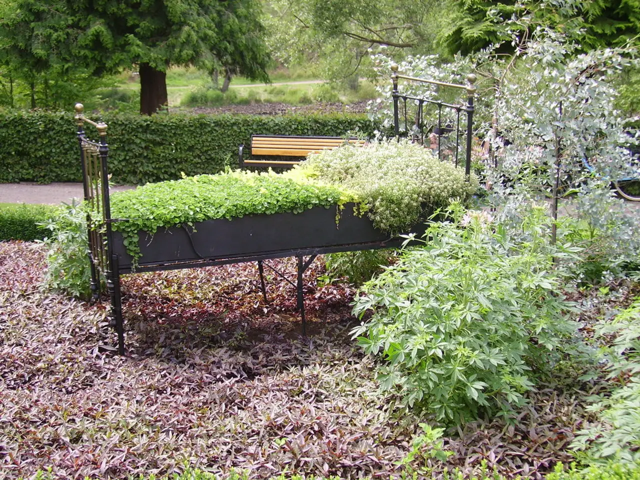 Methods for Nurturing Garden Plants During Growth: Advice for Blooming Vines, Vegetables, Oversized...