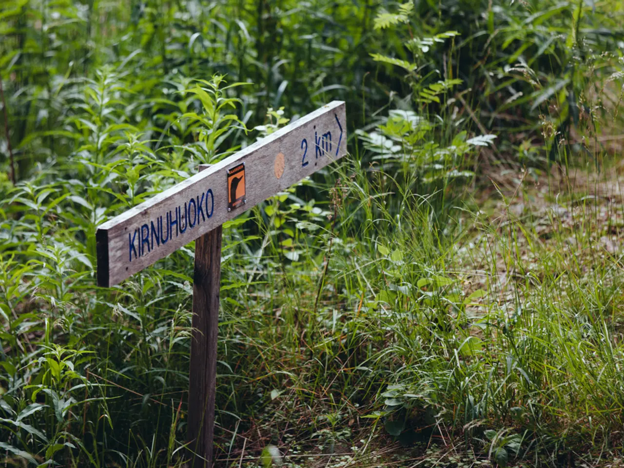 Efficient irrigation guide: Top soil moisture meters of 2025