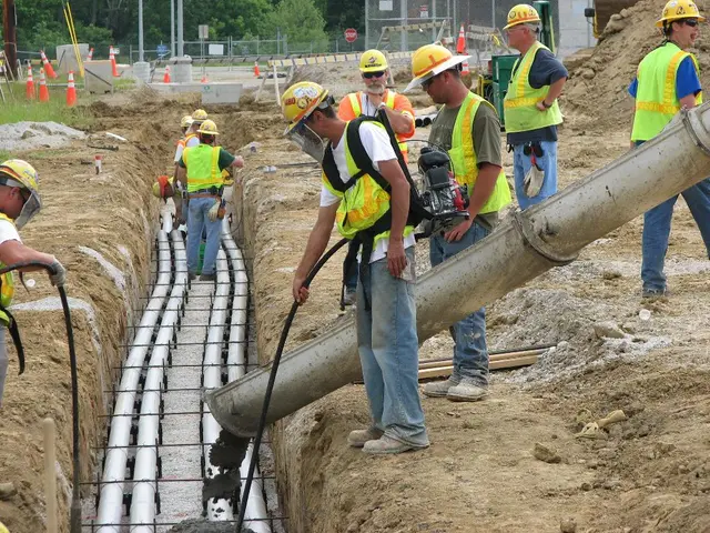 Proposal for a Worker Radiation Safety Directive Solicited by Commission