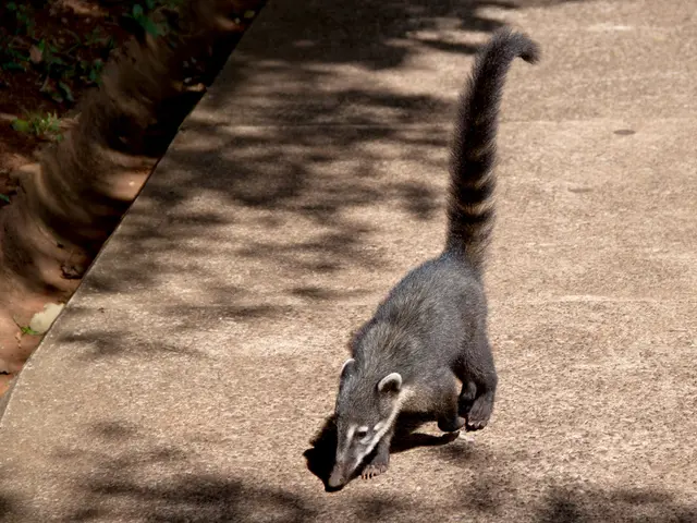 Common Blunders in Gardening: Steer Clear of These Common Garden Faux Pas