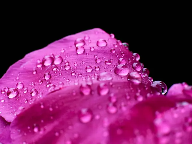 Orchid blooming hindered by this critical error - experts offer salvaging solutions.