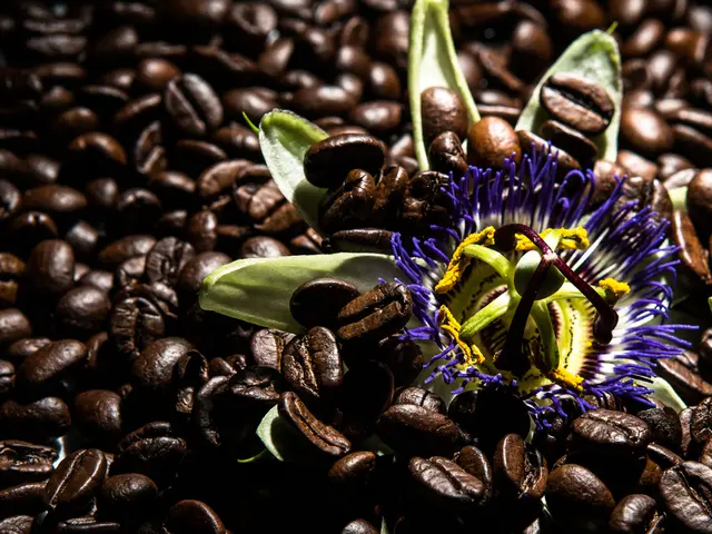 Avoiding the Use of Coffee Grounds in Your Garden to Maximize Plant Health