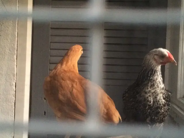 The undertaking is grounded in these fundamental beliefs: