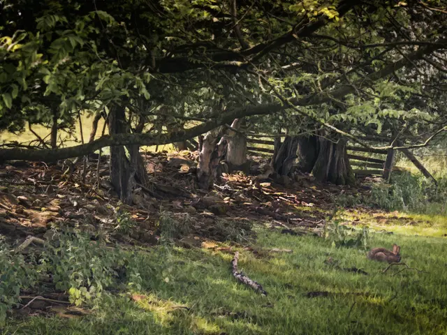 Nurture, Care for, and Prosperity Promoted: A Focus on Maintenance and Growth.