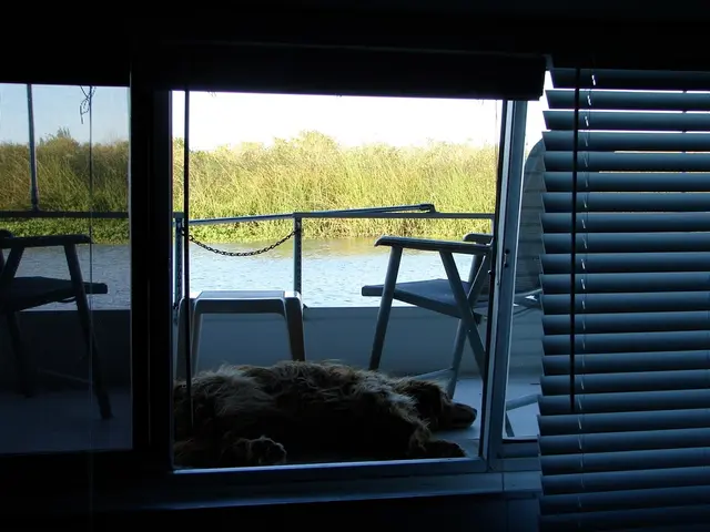 Eliminating Canine Accidents: Strategies for Eradicating Dog Urine Marks and their Pungent Smells...