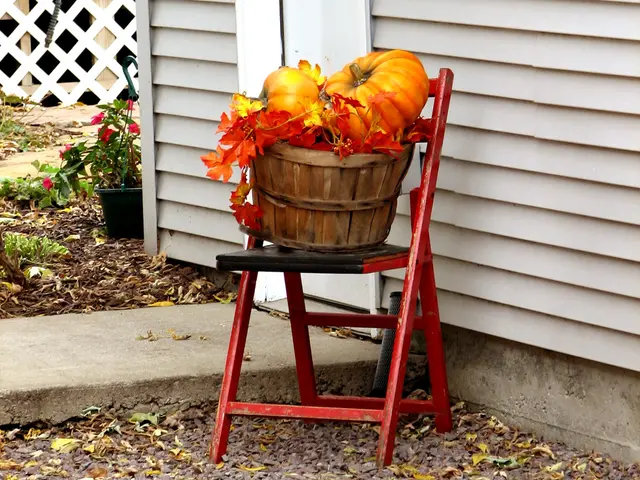 Harvest your edible crops in October