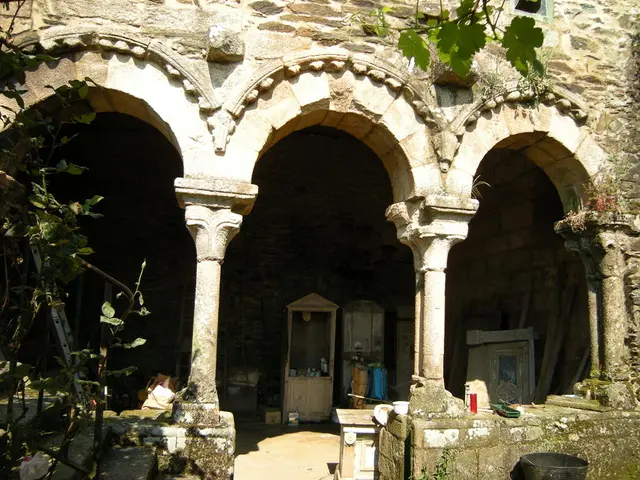 Latest in Container Gardening: Popular Trends in Flowerpot Designs