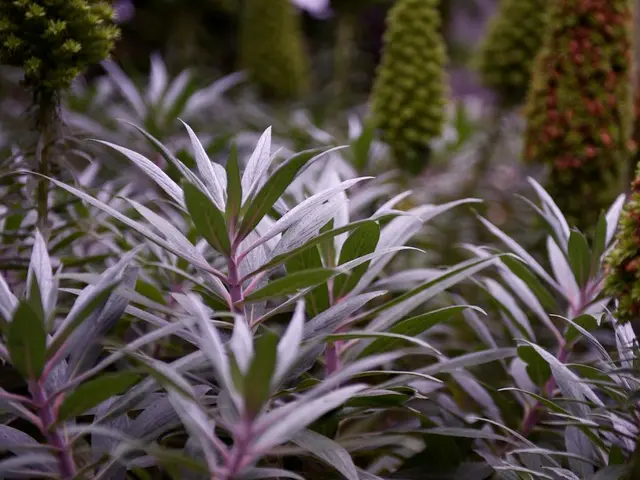 Home Illumination Powerhouses: Discover the Top 10 Plants That Brighten Your Living Space