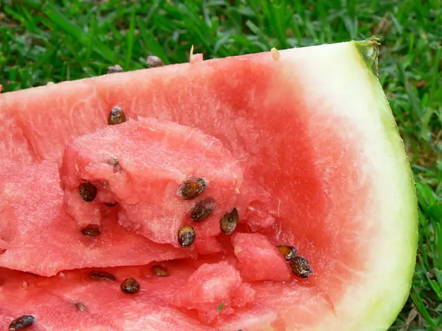 Harvesting Watermelons: A Comprehensive Guide for Gardeners