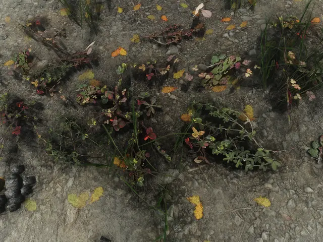 Timeless Triumph: Delving into the Enduring Durability of Soapstone