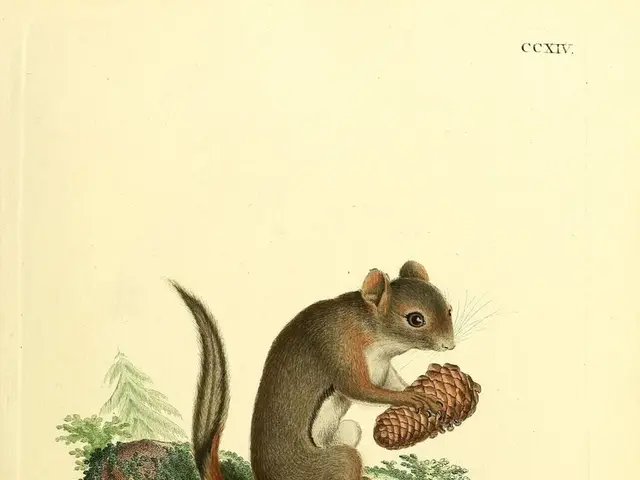 Effective Home Strategies for Deterring Squirrels Naturally