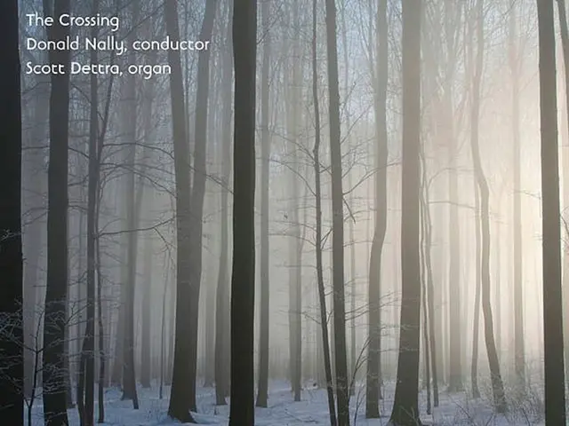 "Nature Exploration - Pensively Scribbled by the Youth Council"