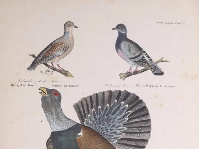 Top-Tier Outdoor Field Manuals for Blossoming Nature Enthusiasts, Fueling Awe in the Wilderness