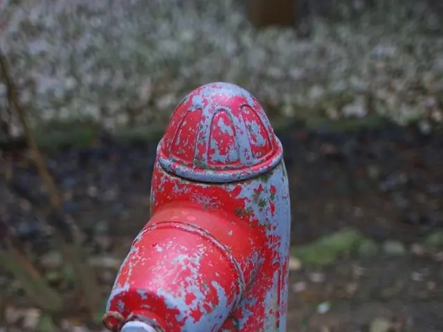 Strategies for Enduring a Week Without Access to Running Water