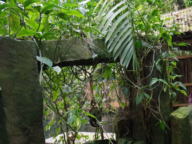 The crucial role of water wells in supplying suburban neighborhoods