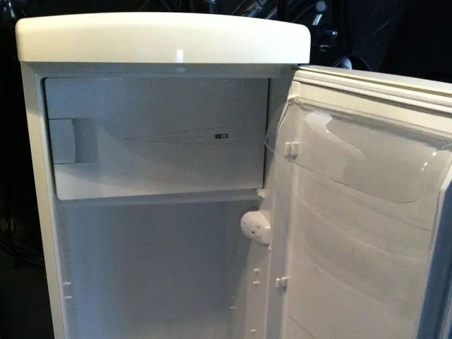 It's Time to Enlist the Aid of Refrigerator Fixing Specialists