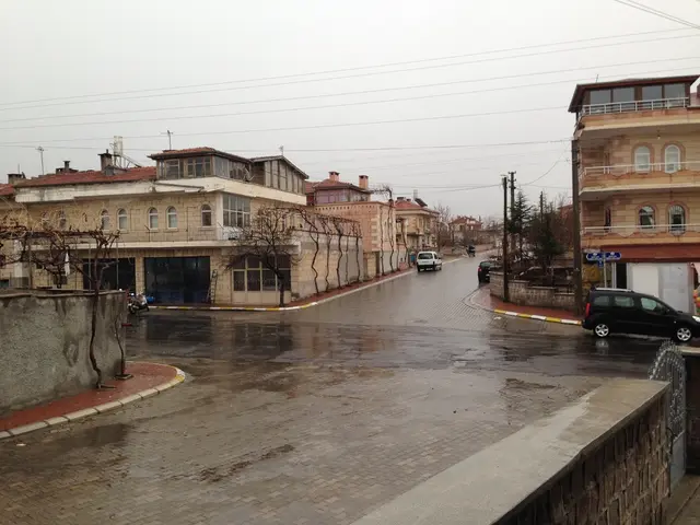 Top EV Stocks Worth Investing Immediately