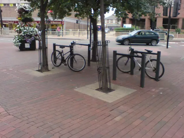 Forest Regulations Modified in Kazakhstan to Enhance Eco-Tourism and Climate Action