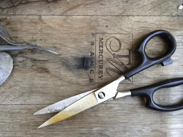 History of Scissors: Creators and Evolution of Everyday Cutting Instruments