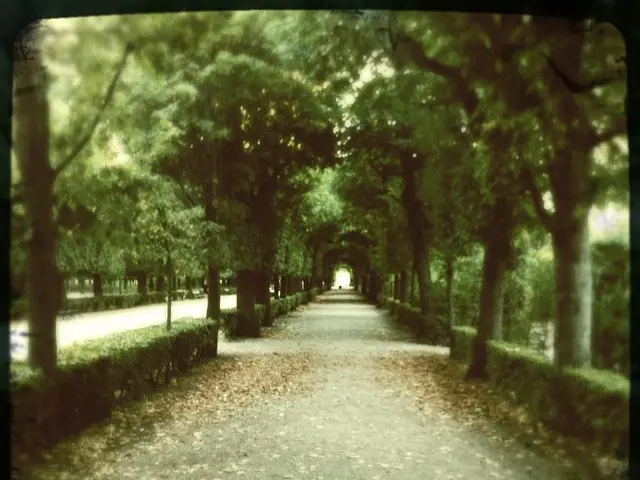 Urban Woodlands Management