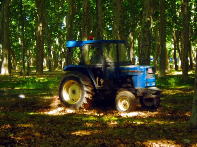 Choosing the Right Lawn Mower for Your Home: Key Factors to Consider