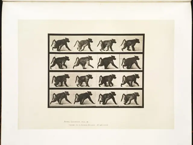 Comprehensive inheritance received by Tony Soper, erstwhile BBC wildlife host, following his demise...