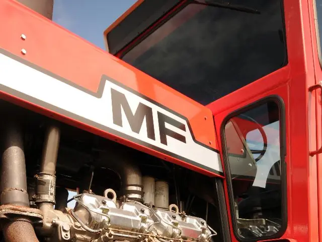 Insights into the world of electric lawn mowers