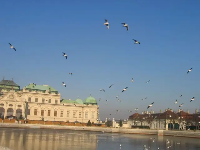 Ancient Skill of Falconry: A Thousand-Year-Old Collaboration Between Humankind and Birds of Prey