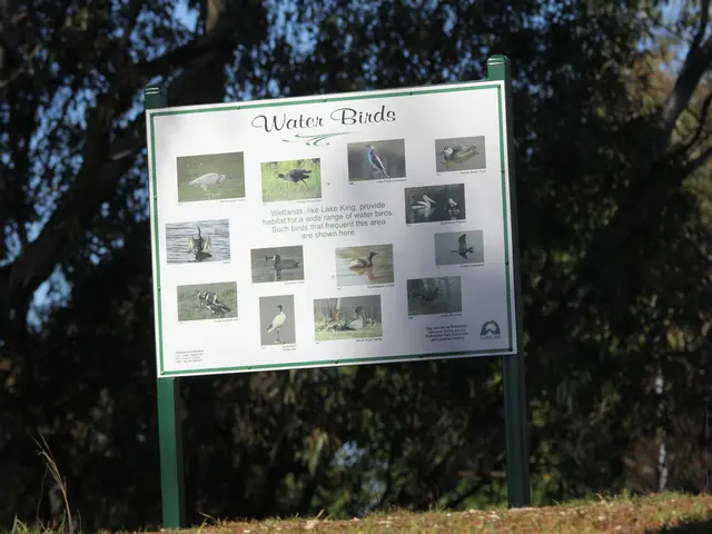 Environmental Enhancement by EcoStewards