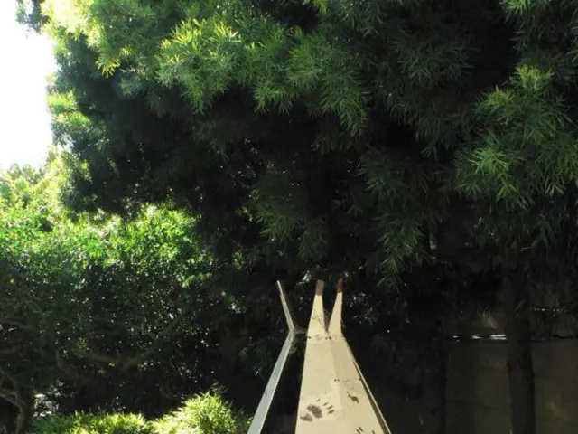 Guide for Long-Term Hydrangea Growth: Discovering Optimal Planting Locations and Hardy Varieties...