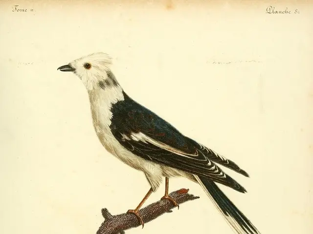 Crafting Bird Feeders Sparks Enjoyment