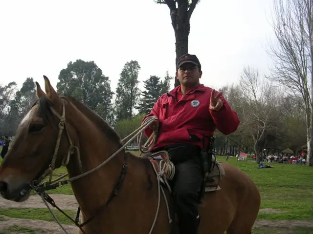 Steed Alters Course on Regular Journey, Revealing Charming Motivation