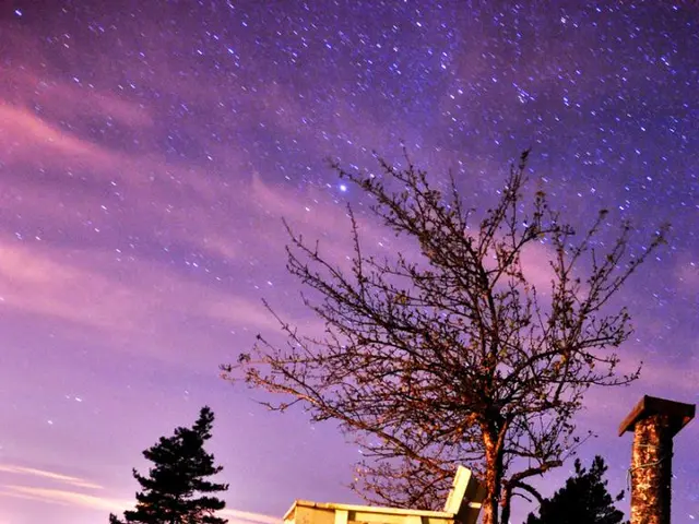 Over ten stunning images of starry skies over forests, available for unrestricted use