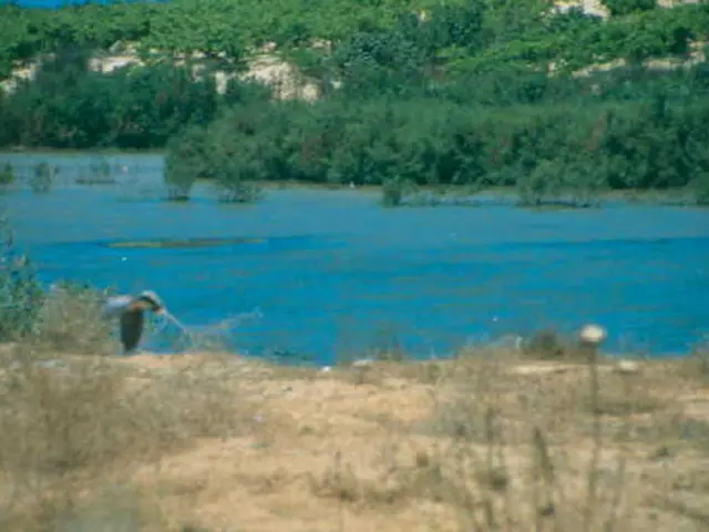 Conservation Methods for Vertical Vegetable Gardens on Rooftops