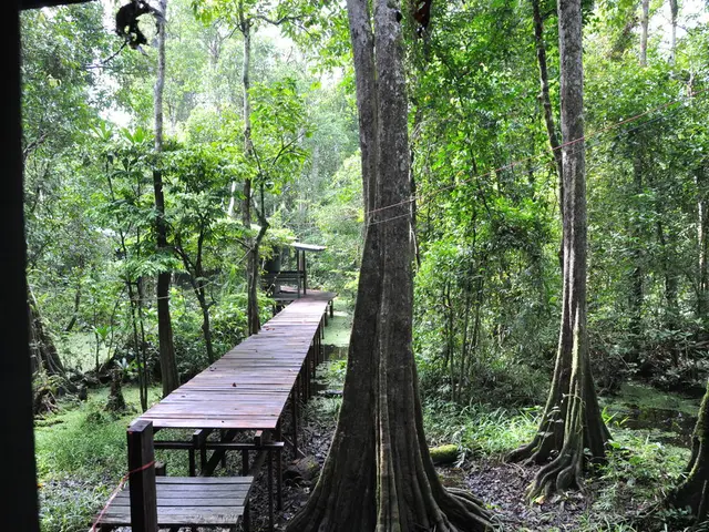 Urban adventure in Mumbai: Mumbai's metropolitan life enhanced by an elevated forest trail on...